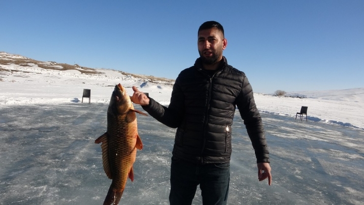 Kış Turizminin Cazibe Merkezi Çıldır Gölü Rüya Gibi