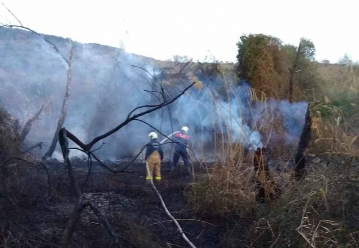 Erdek’te Arazi Yangını