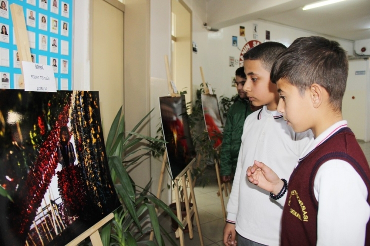 Hasat Mevsiminin En Güzel Fotoğrafları Sergilendi