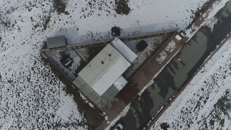 Sokak Kedilerine 5 Yıldızlı Otel Konforunda Bakım