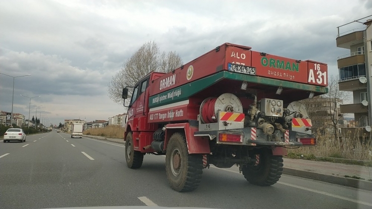 İmralı Adası’nda Orman Yangını