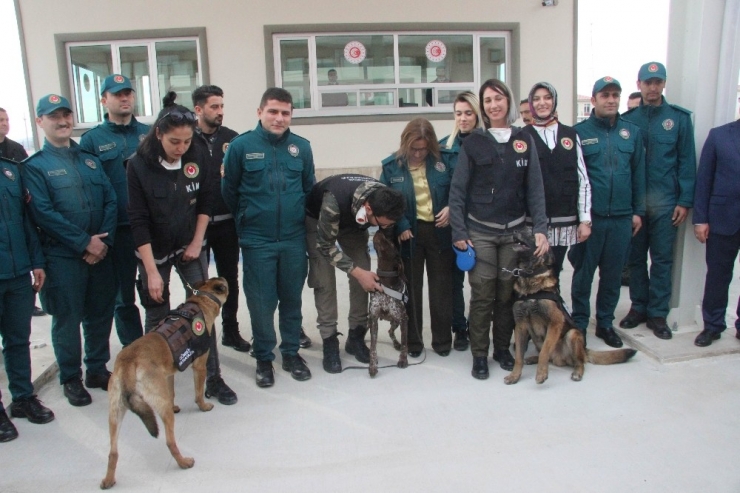 Gümrük Kapılarında Korona Virüsü Tedbirleri Alındı