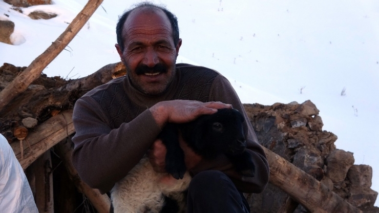 Enkazdan 4 Gün Sonra Canlı Çıkarılan Kuzuya Sevgi Öpücüğü