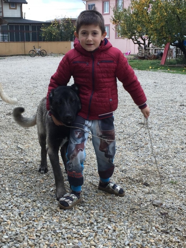 10 Bin Liralık Kangalı Çaldılar, Bulana Kuzu Hediye Edecek