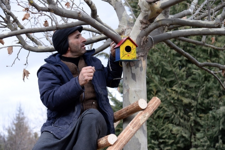 Altınköy’de Kuşlar "Ev"lendi