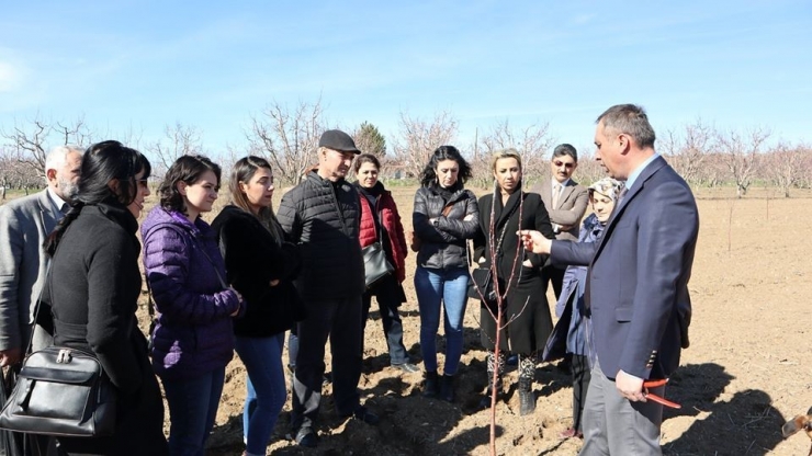 Tarım Danışmanlarına Budama Eğitimi