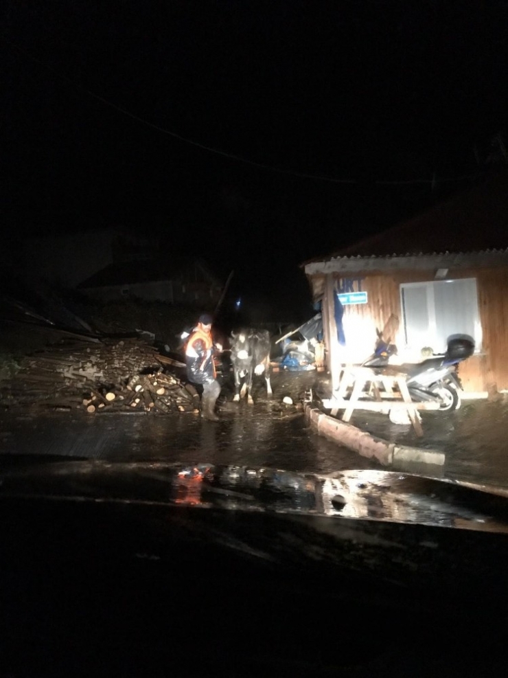 Kocaeli’de Şiddetli Rüzgar Ağaçları Devirdi Çatıları Uçurdu