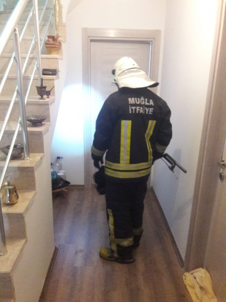 Fethiye’de İtfaiyeden Yılan Yakalama Operasyonu