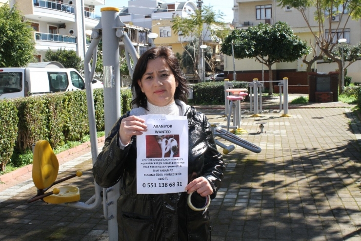 Kedisini Bulana 1000 Lira Ödül Verecek