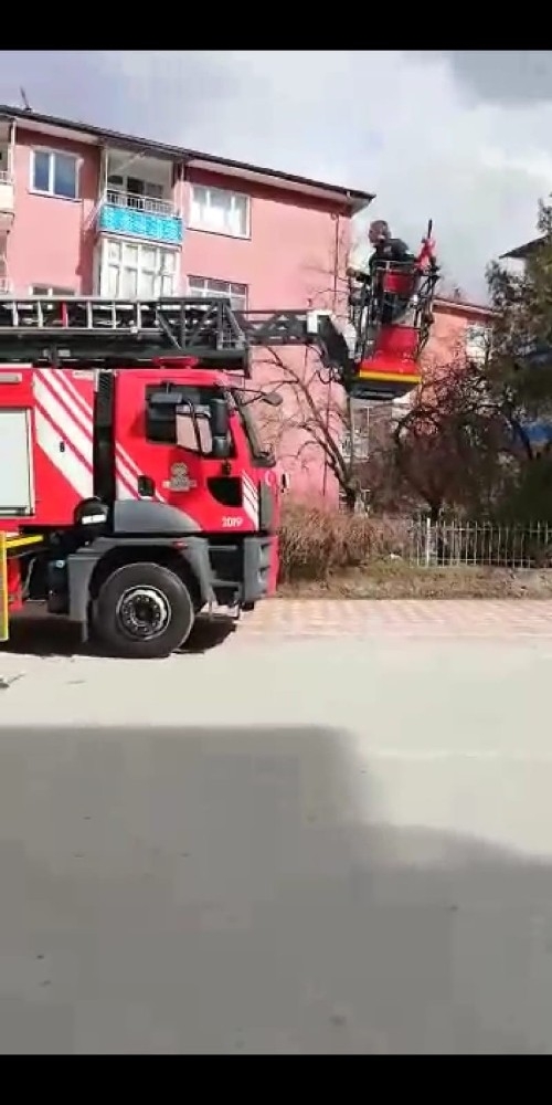 Çatıda Ayağı Sıkışan Güvercini İtfaiye Kurtardı