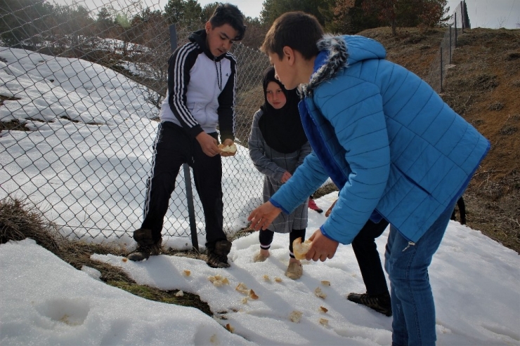 Elazığ’da Depremzede Çocuklara Doğal Terapi