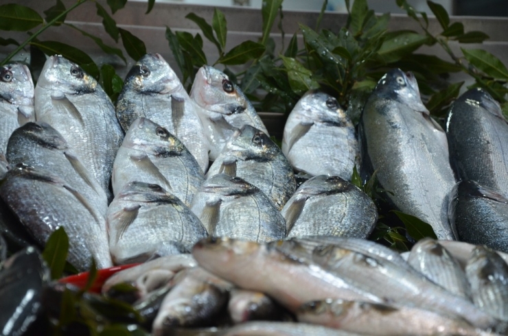 Karadeniz’de Balık Piyasasında Durgunluk
