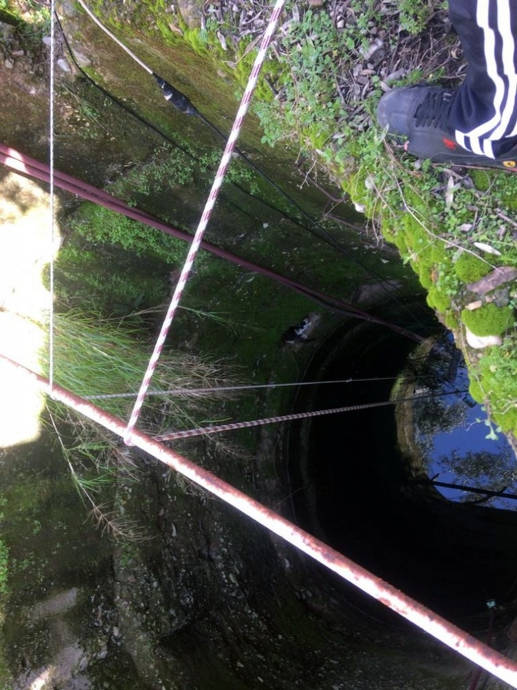 Su Kuyusuna Düşen Kediyi İtfaiye Kurtardı