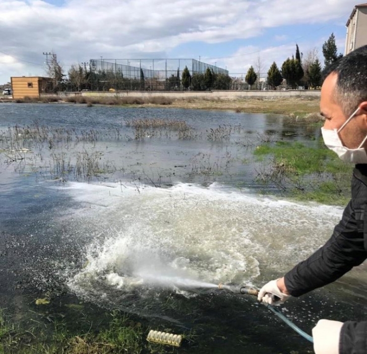 Haşere İlaçlamaları Başladı