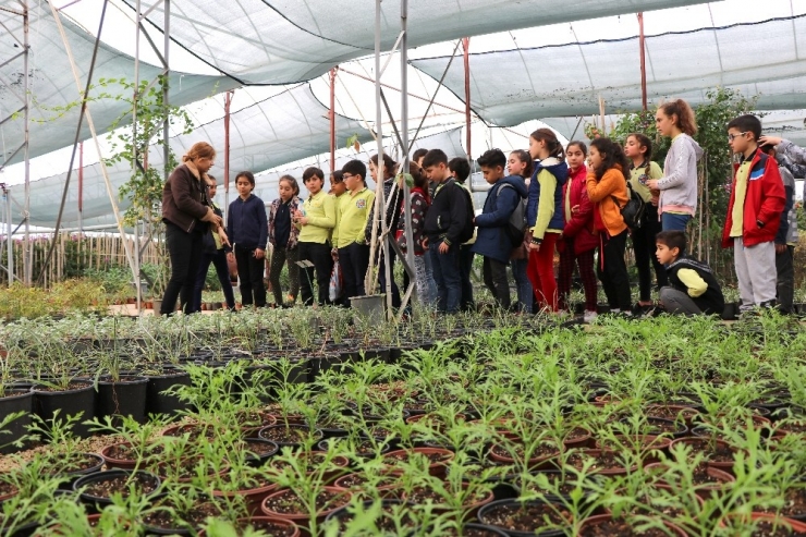 Öğrenciler Doğa Temalı Su Kabağı Boyadı