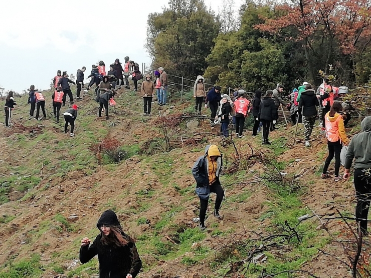 Şehitler İçin Kutsal Vatan Toprağına Fidan Diktiler