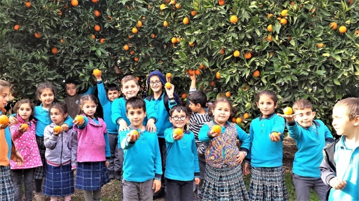 Portakalla Kurulan Kardeşlik Köprüsü Şırnak’a Ulaştı
