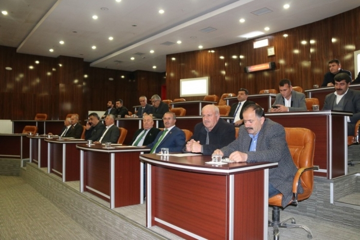 Bitlis İl Genel Meclisinden ‘Bahar Kalkanı Harekatı’na Tam Destek