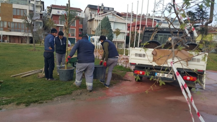 Darıca Parkları Bahara Hazırlanıyor