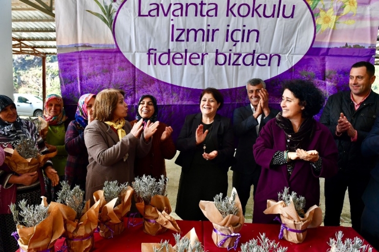 Büyükşehir 5 Bin Lavanta Fidesi Dağıttı