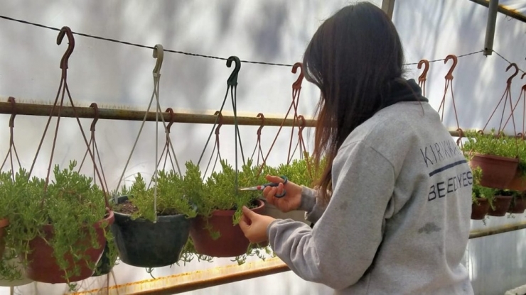 Kırıkkale’de Park Ve Yeşil Alanlarda Yaz Bakımı