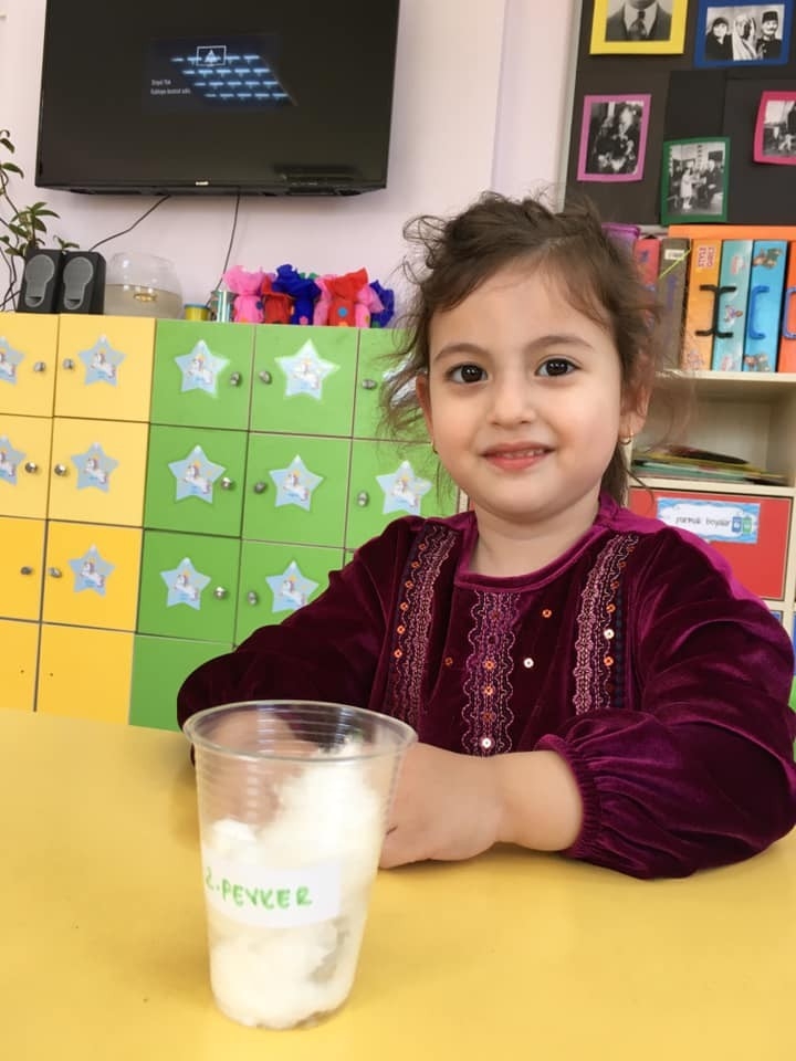 Bitkilerin Yaşam Döngüsünü Öğrendiler