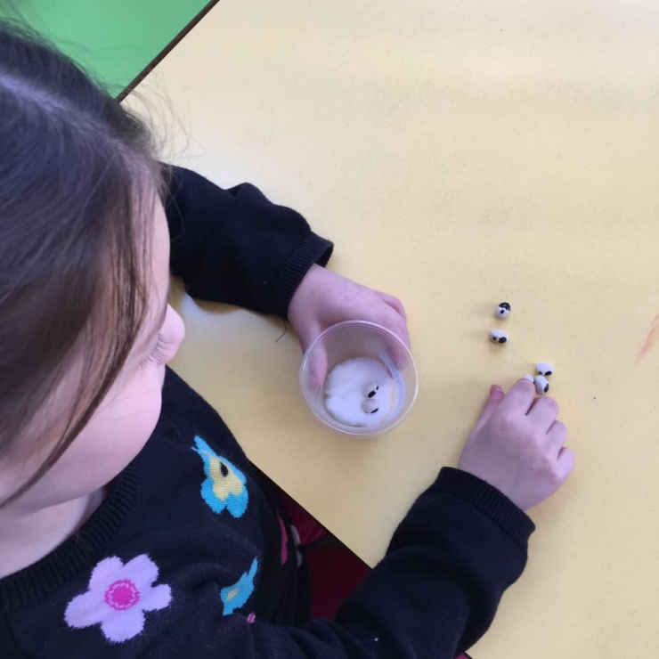 Bitkilerin Yaşam Döngüsünü Öğrendiler