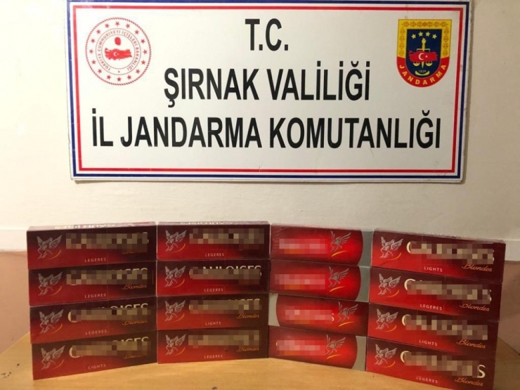 Şırnak’ta Terörün Finans Kaynaklarına Darbe: 37 Gözaltı