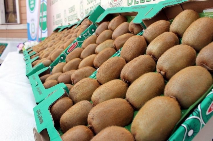 Kiviye Korona Virüsü Darbesi