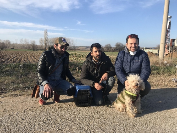 Sınırı Geçerken 6 Yıldır Baktığı Kedisi Ve Köpeğinden Vazgeçti