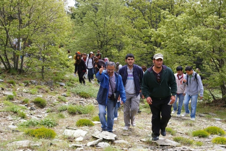 Balıkesir’de Yabanî Hayvan Popülasyonu Açıklandı