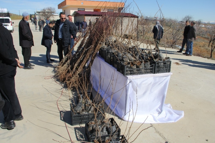 Diyarbakır’da Dev Tarım Projesi
