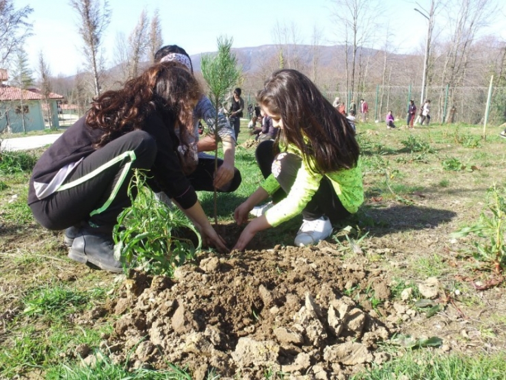 Sokak Hayvanlarına Ziyaretler Sürüyor