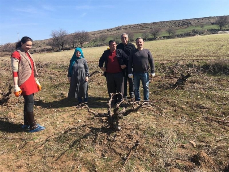 Kilis’te Çiftçilere Bağ Budama Teknikleri Eğitimi