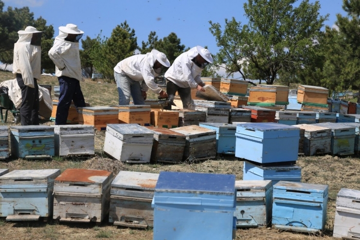 Büyükşehir’den Başkentli Çiftçilere Arıcılık Eğitimi