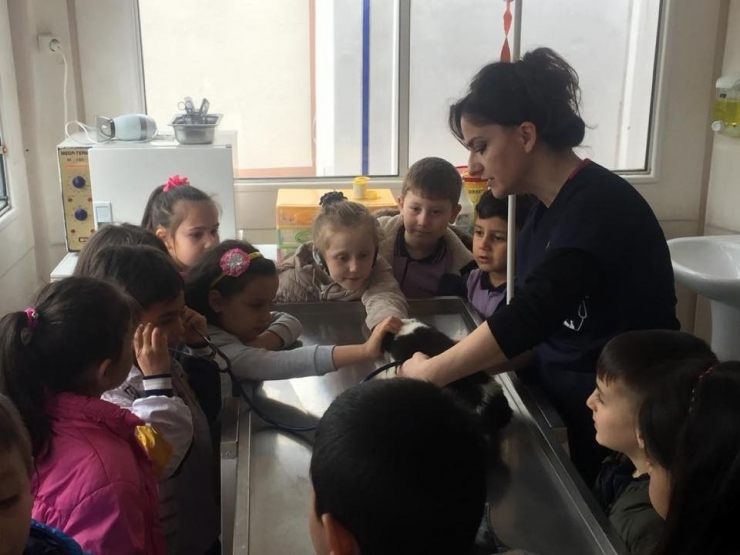 Miniklerden Hayvanlara Şefkat