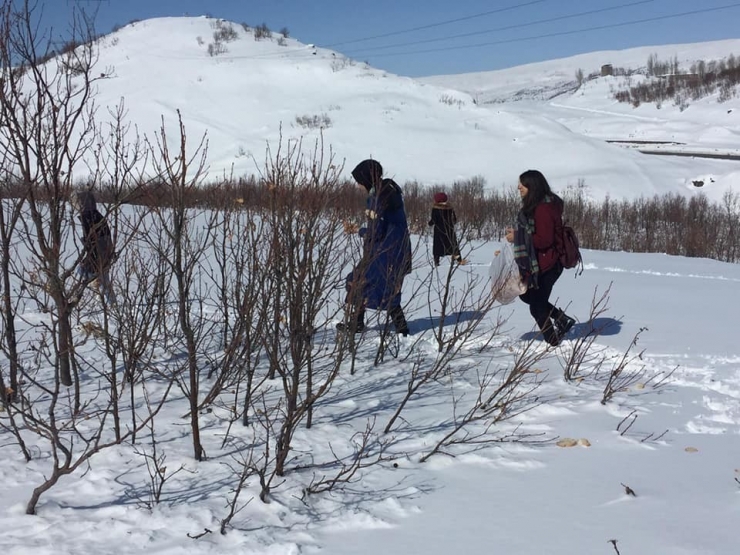Solhan’da Yaban Hayvanları İçin Doğaya Yem Bırakıldı