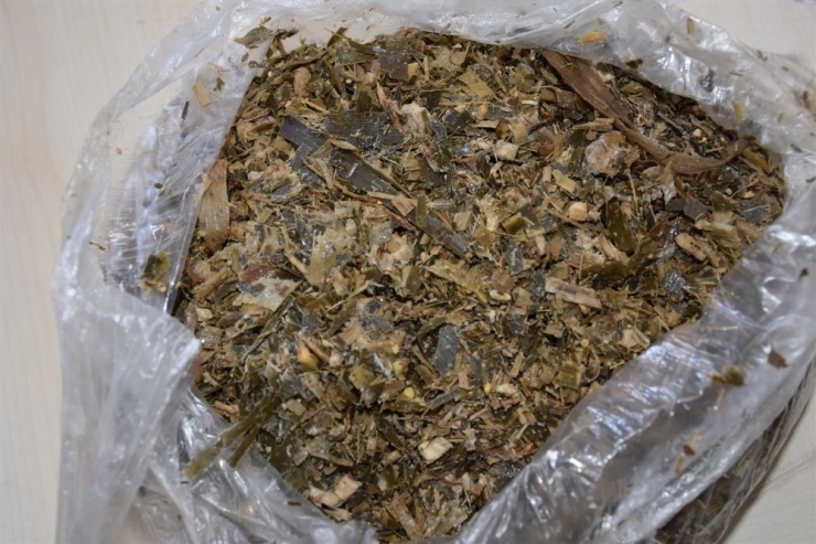 Aydın’da Yerli Tohum İle Kaliteli Silaj İçin Toplantı Düzenlendi