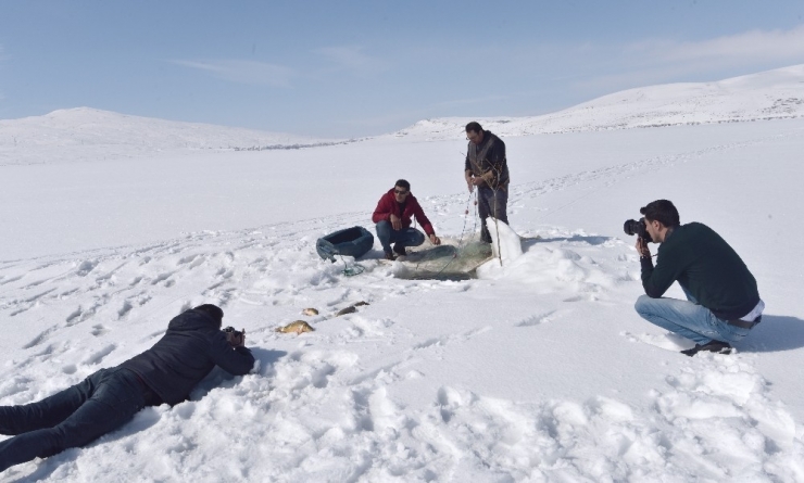 Eskimo Usulü Balık Avına Fotoğrafçı İlgisi