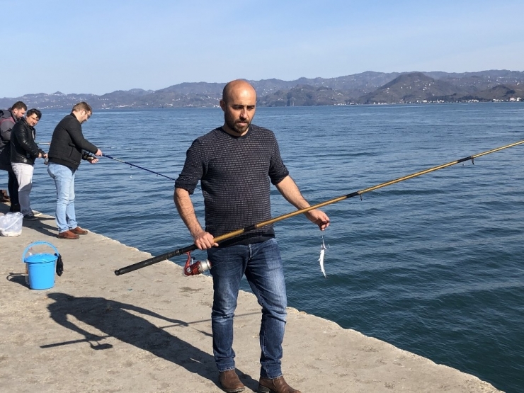 İskelede Balık Avı