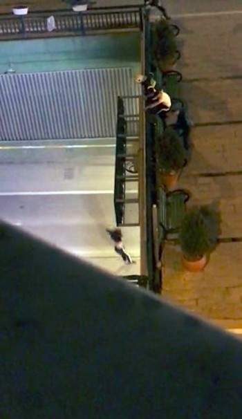 Genç Kız Üst Geçitten Böyle Atladı