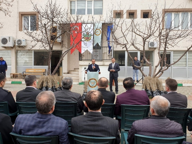 Orhanelili Çiftçilere 7 Bin 500 Kurt Üzümü Fidanı Dağıtıldı