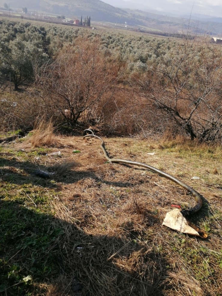 Osmaniye’de Petrol Hırsızlarına Suçüstü