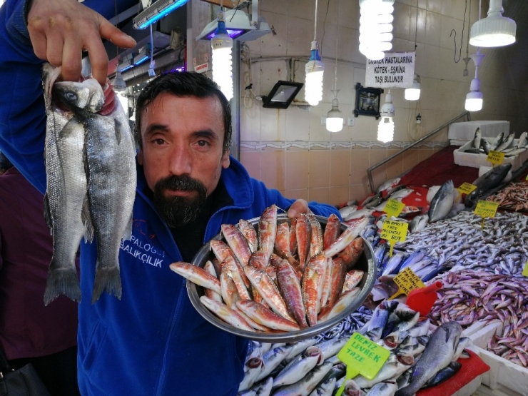 Sıcak Havalar Balık Fiyatlarını Düşürdü