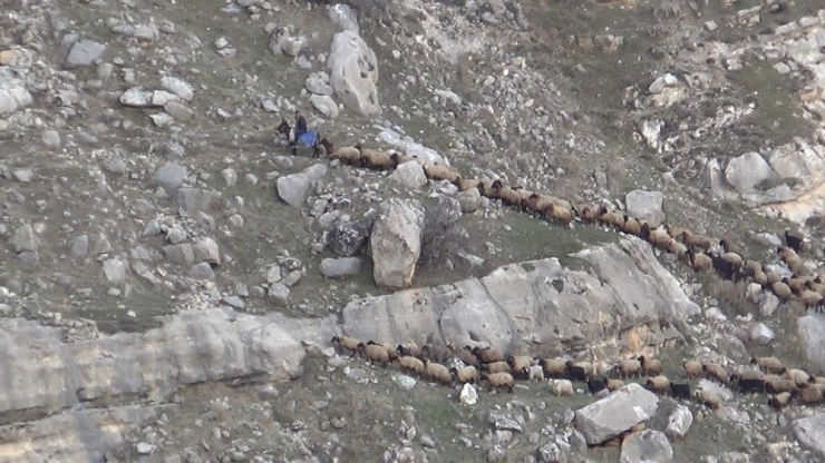 Yolları Su Altında Kalan Göçerler, Tehlikeli Yollardan Yaylalara Ulaşmaya Çalışıyor