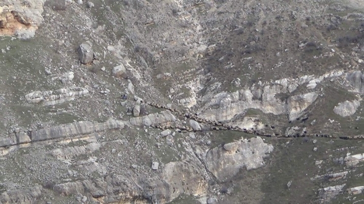 Yolları Su Altında Kalan Göçerler, Tehlikeli Yollardan Yaylalara Ulaşmaya Çalışıyor