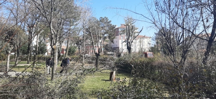 Sungurlu Şehir Parkına Makyaj