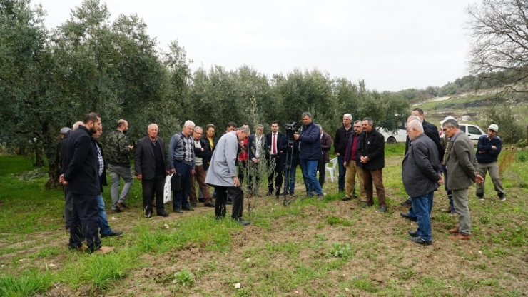 Bursa’da Çiftçilere Uygulamalı Budama Eğitimi