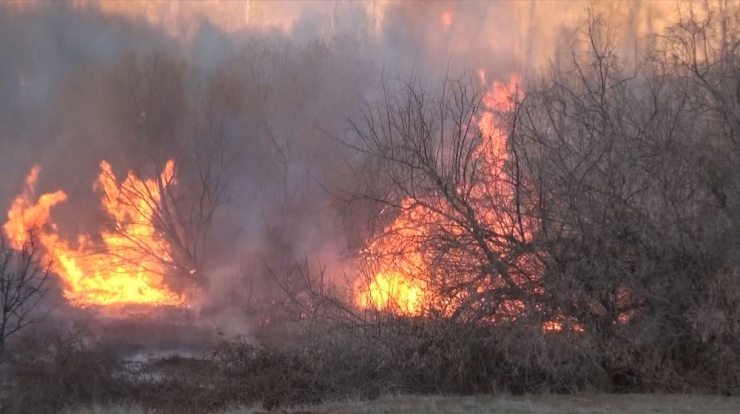 Ormanlık Alanda Çıkan Yangını İtfaiye Ağaçlara Sıçramadan Söndürdü