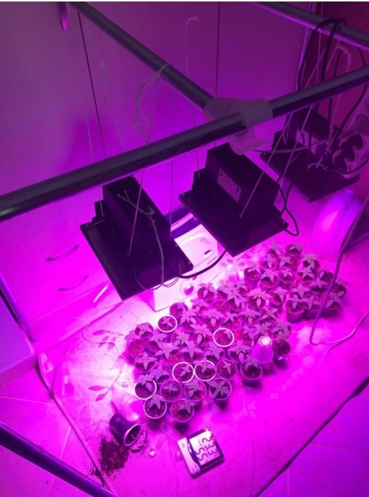 Lüks Villayı Uyuşturucu Serasına Çevirmişler